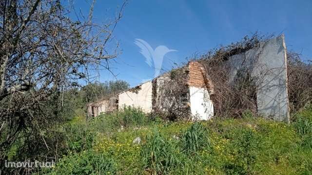 Casa de campo c/ vista barragem, Montargil - Grande imagem: 2/12