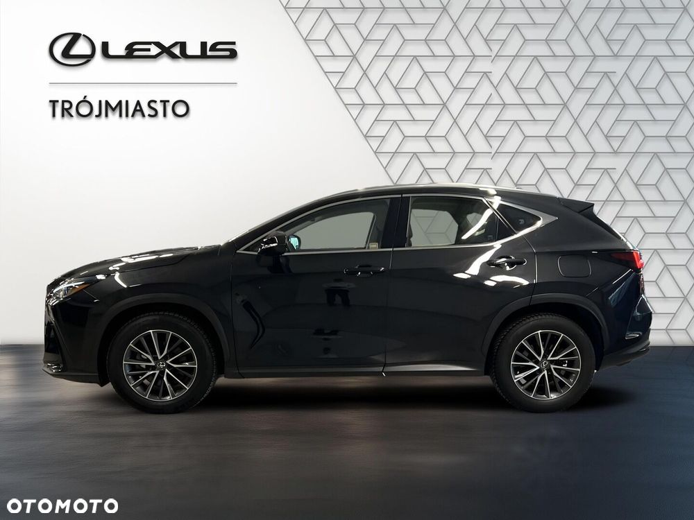 Lexus NX 350h Business AWD - 5