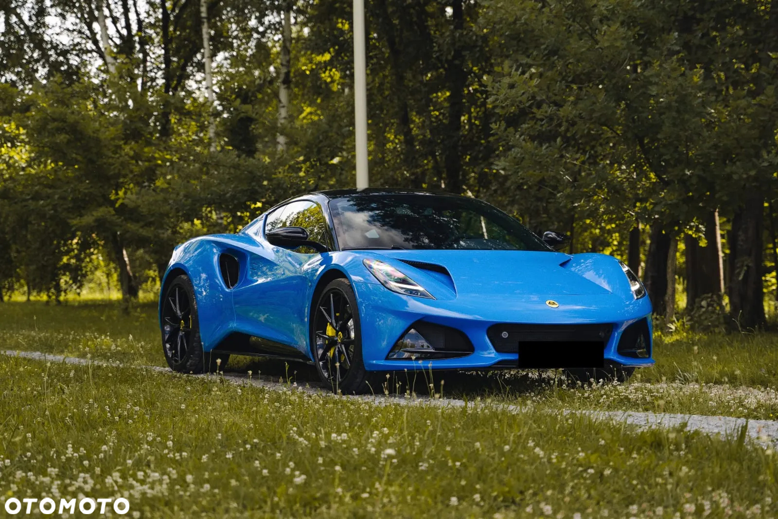 Lotus Inny - 3