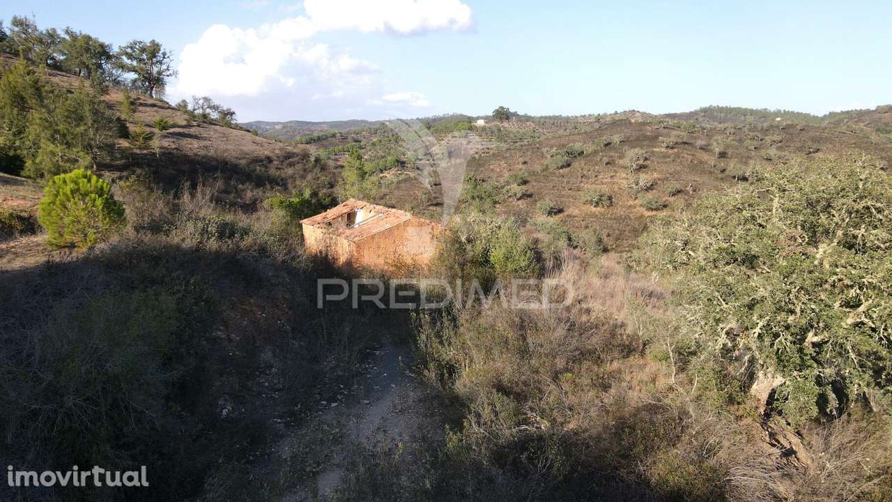 Quinta com 1,0250 ha e uma ruína em Luzianes Gare - Grande imagem: 2/19