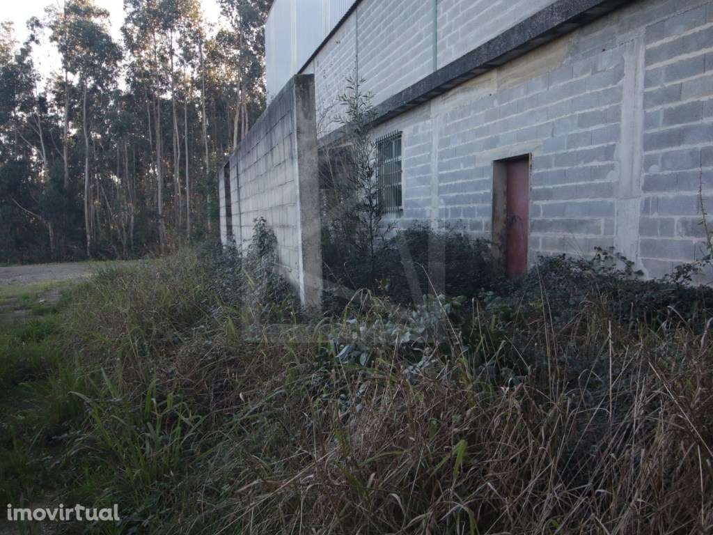 Armazém em Sever do Vouga - Grande imagem: 4/16