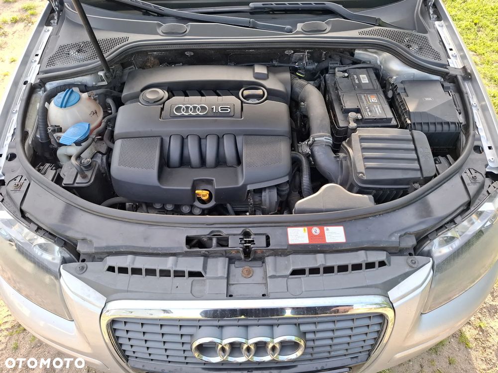 Audi A3 3-drzwiowe 1.6 Ambition - 11