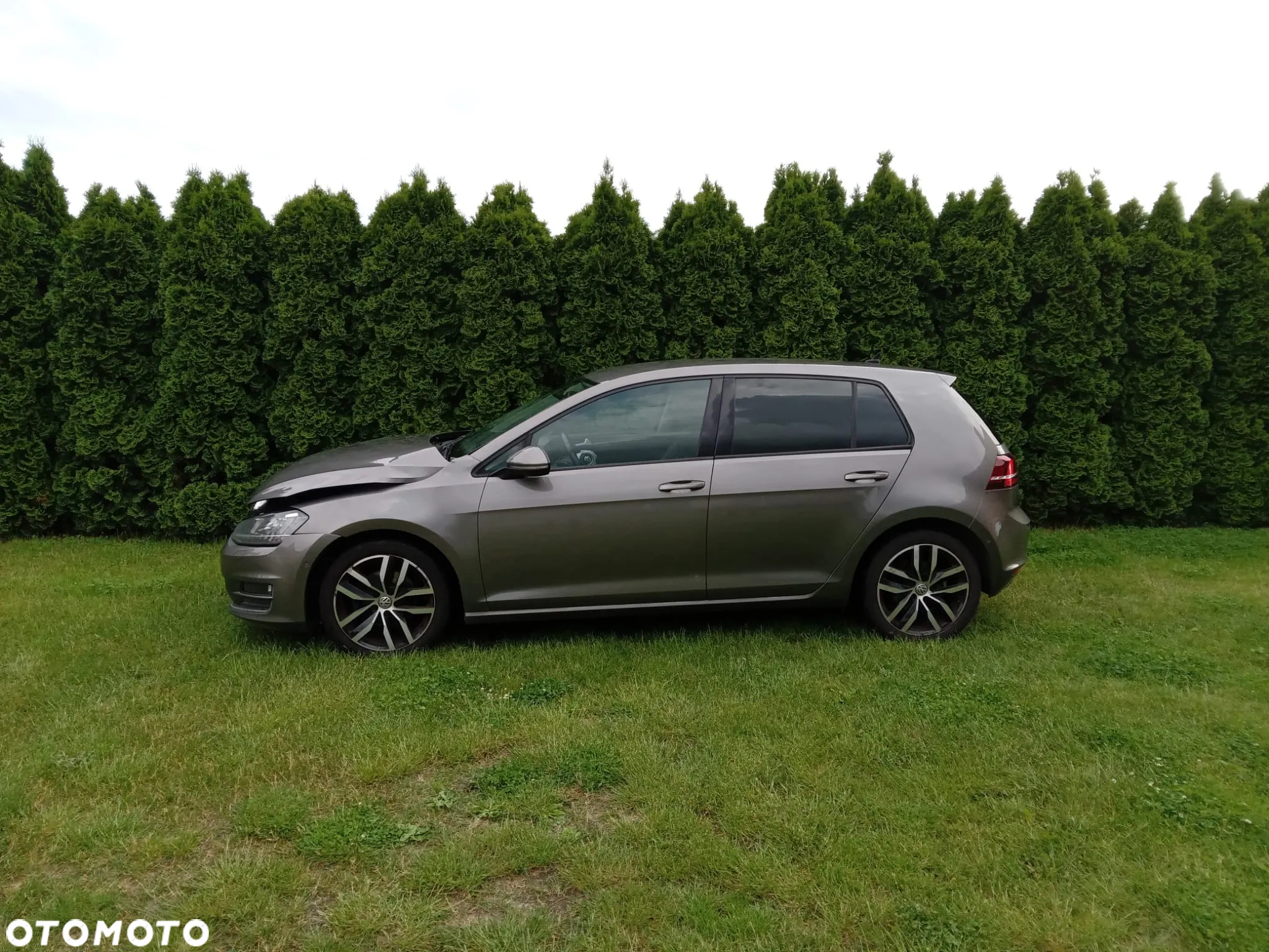 Volkswagen Golf VII 1.6 TDI BMT Highline DSG - 7