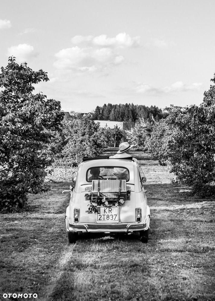 Fiat 500 - 8