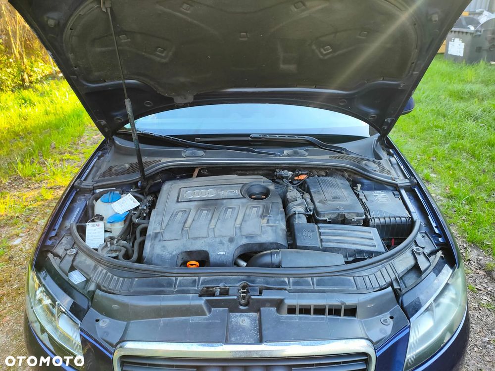 Audi A3 3-drzwiowe 1.6 TDI DPF Attraction - 8