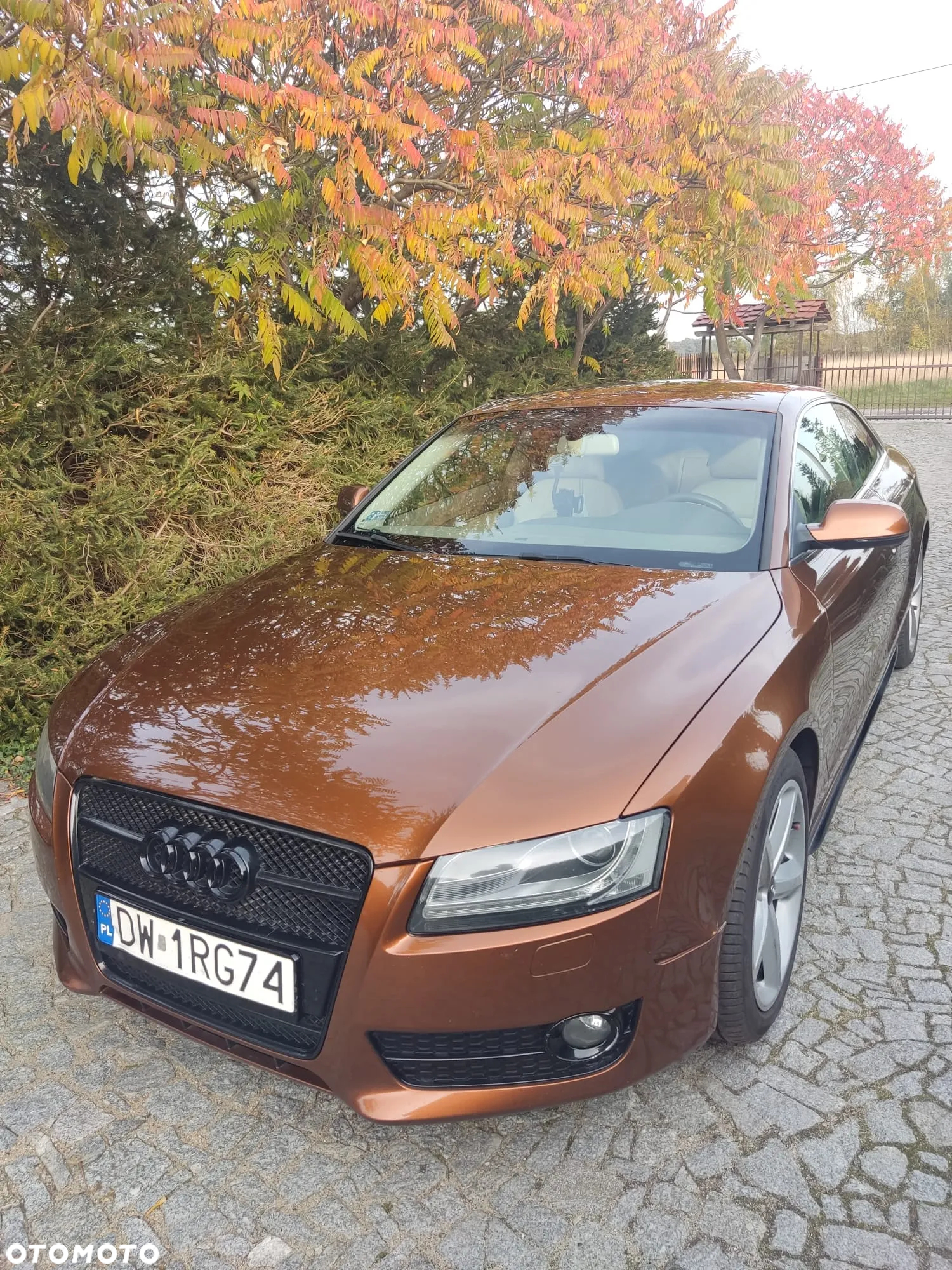 Audi A5 2.0 TFSI - 12