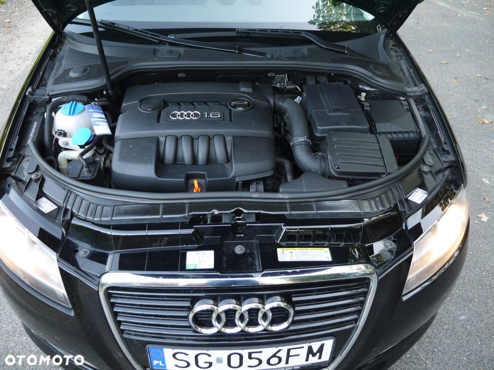 Audi A3 Sportback 1.6 Attraction - 16