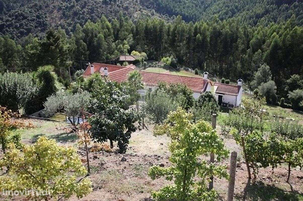 Quinta  para arrendamento - Grande imagem: 4/47