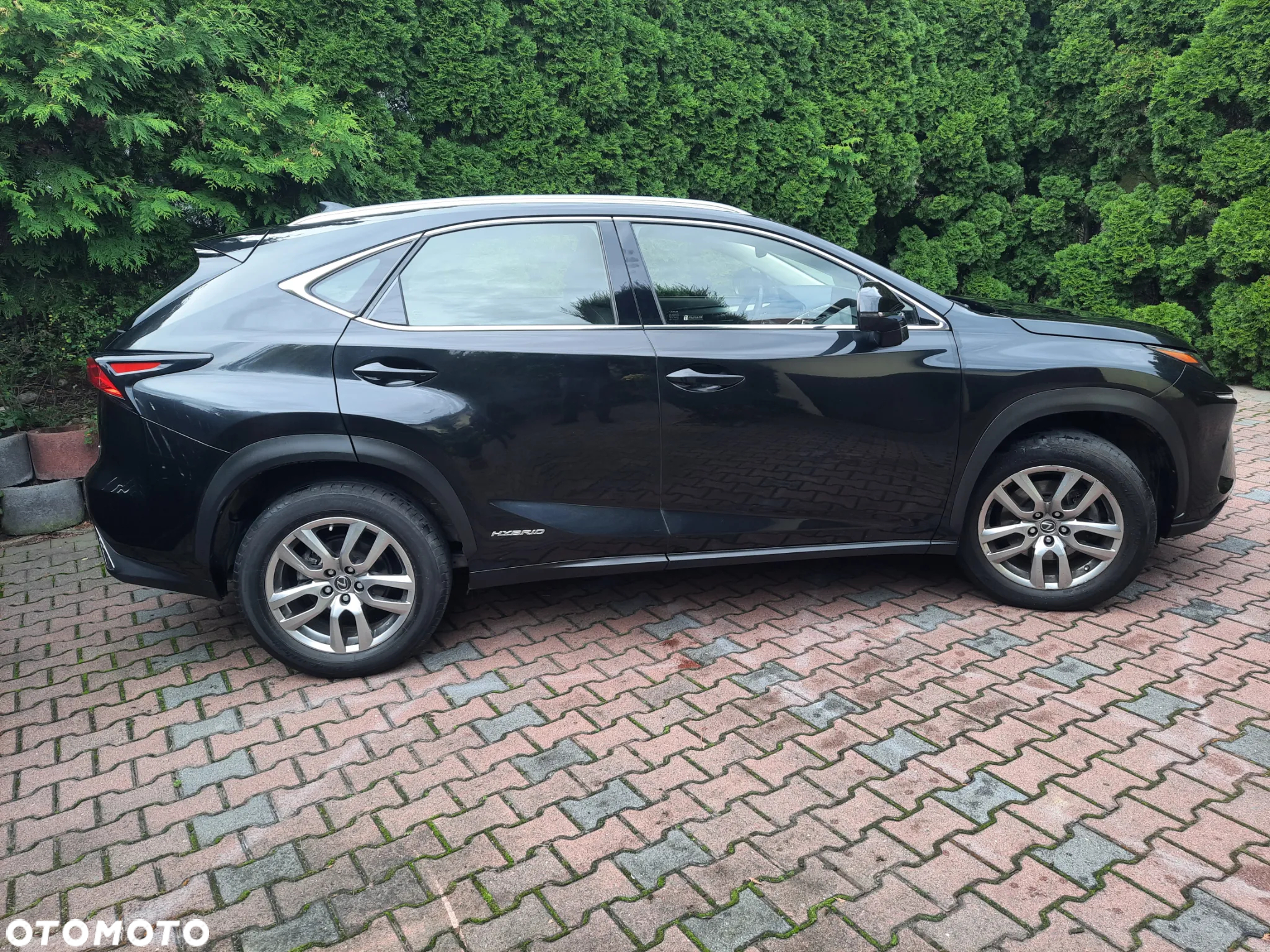 Lexus NX - 9