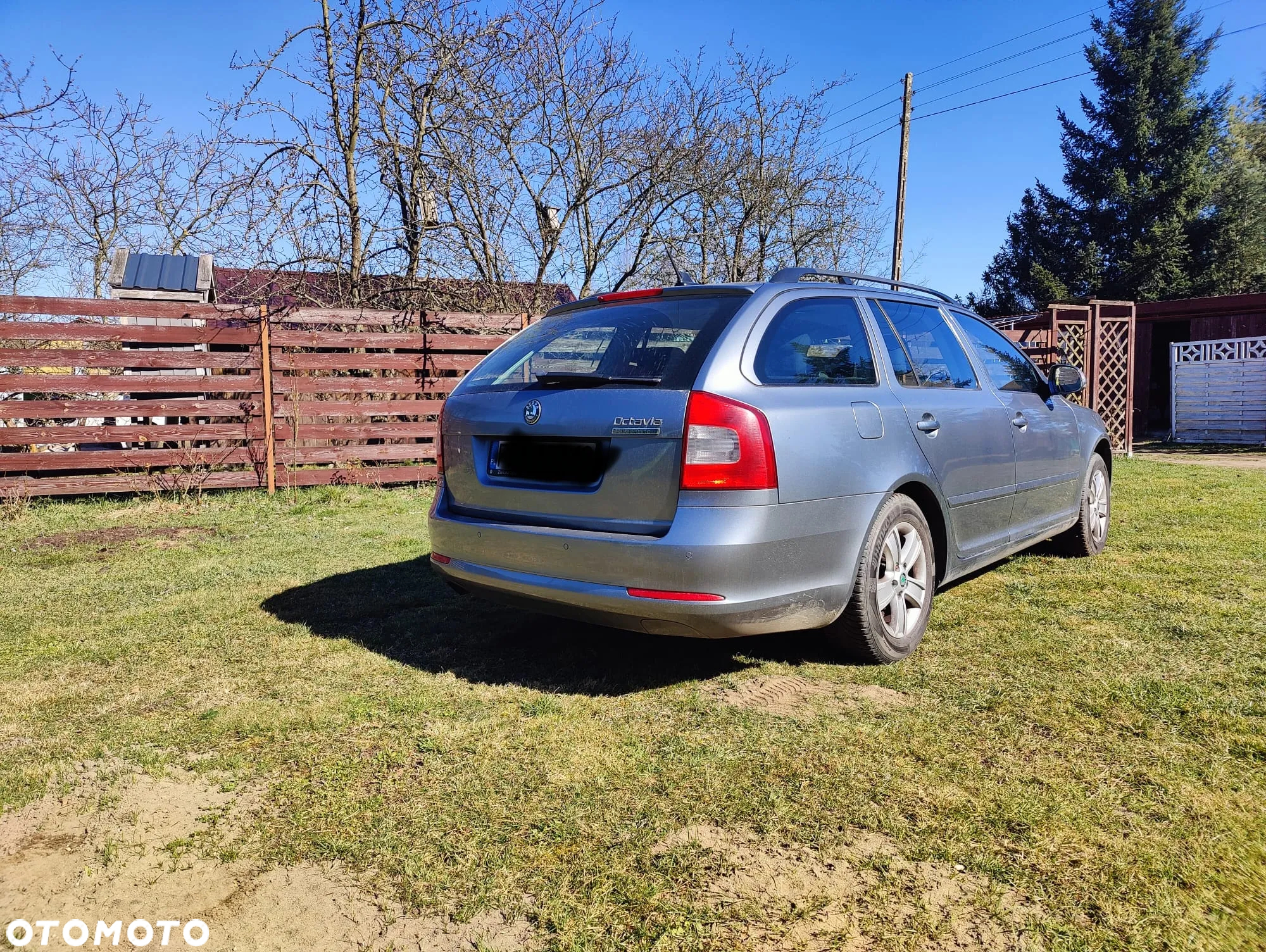 Skoda Octavia 1.6 TDI Greenline - 2