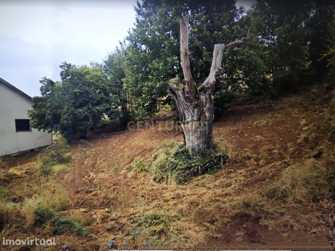 Terreno para construção em Samil - Bragança - Grande imagem: 2/13