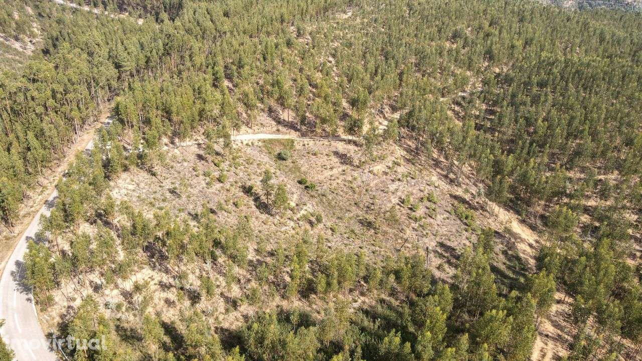 Terreno Rústico em Cernache do Bonjardim, Sertã! - Grande imagem: 4/10