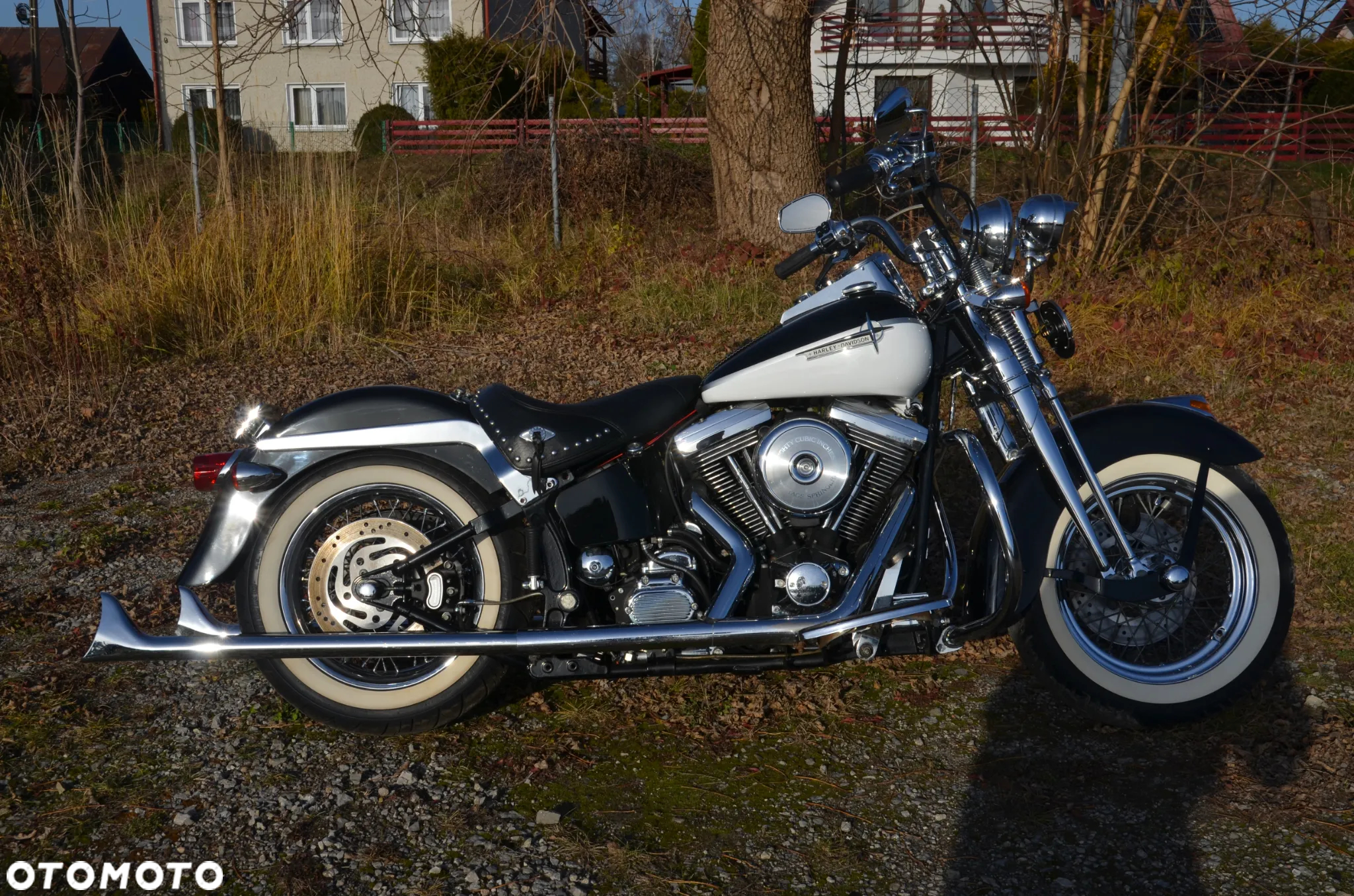 Harley-Davidson Softail Springer Classic - 19