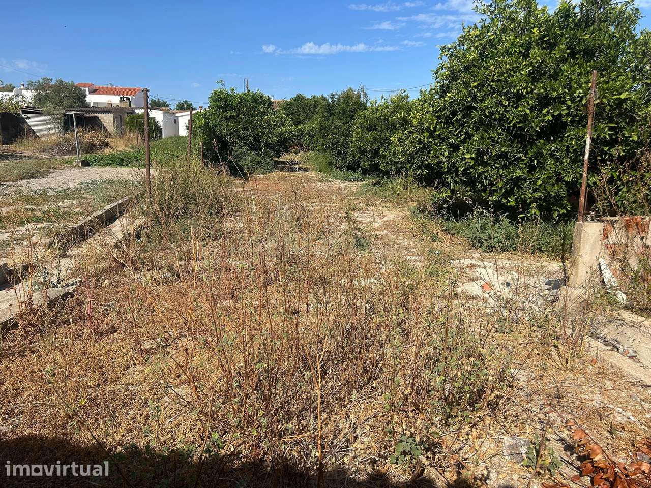 Terreno Urbano Murado com Furo de Água e Eletricidade – Casével, Castr - Grande imagem: 3/8