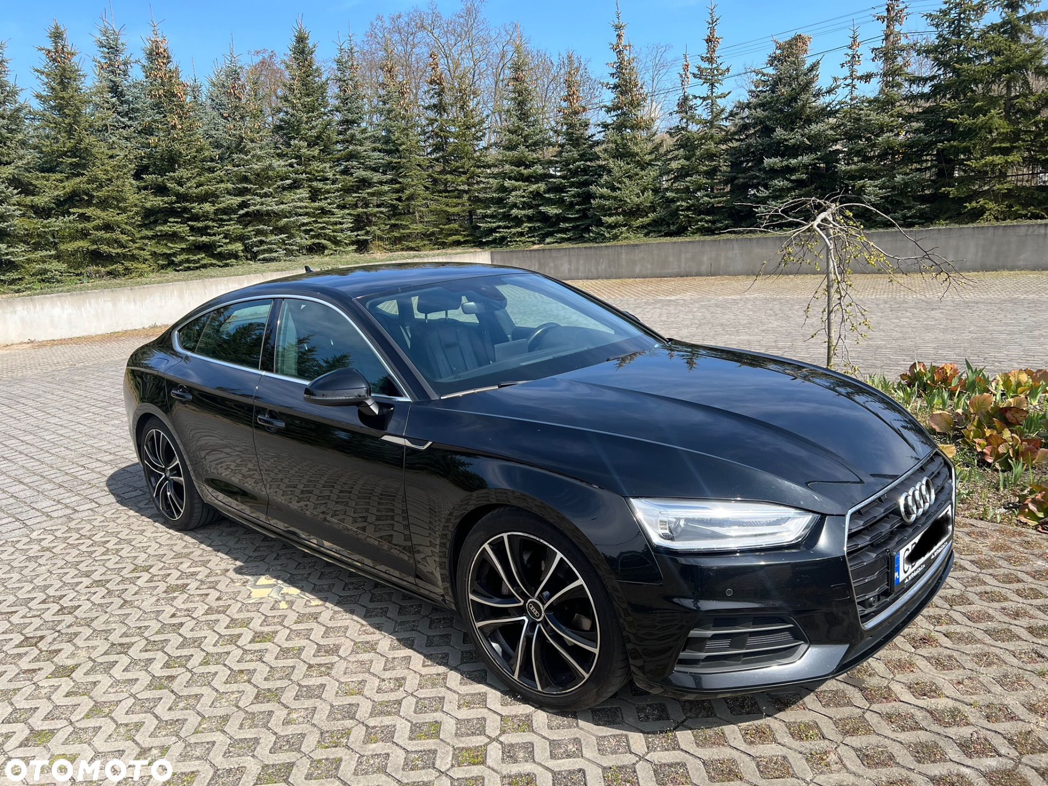 Audi A5 2.0 TDI Sportback (clean diesel) DPF multitronic - 1