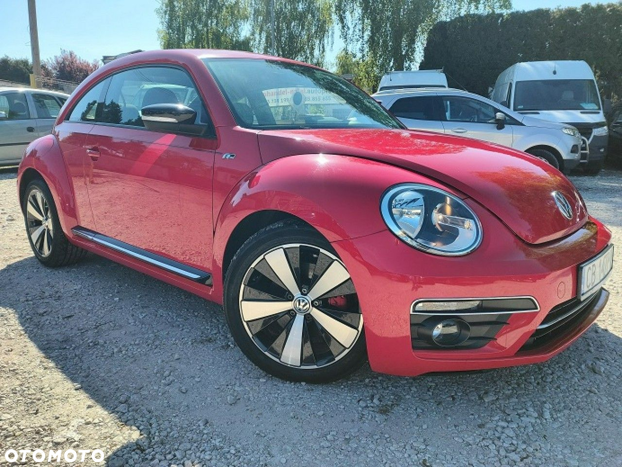 Volkswagen Beetle - 5