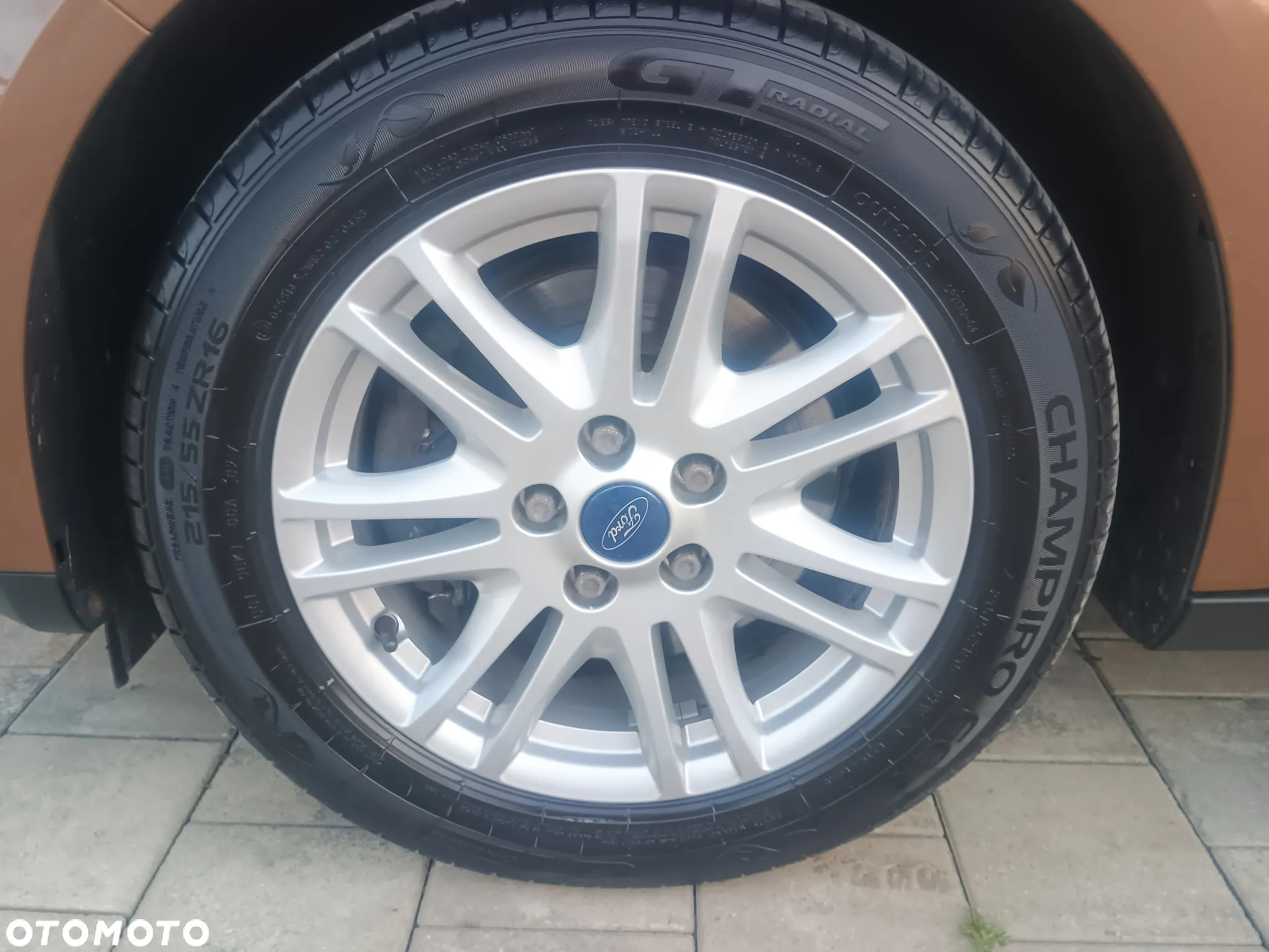 Ford Focus 1.6 EcoBoost Gold X (Trend) - 15