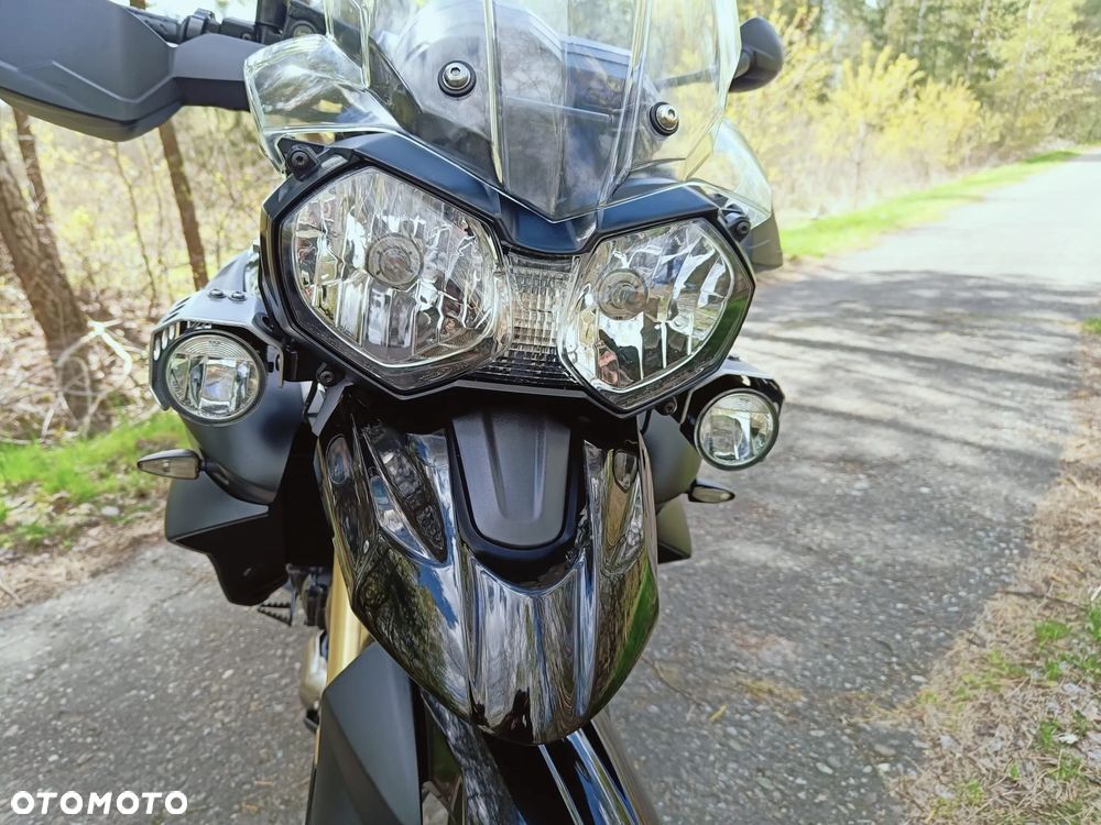 Triumph Tiger - 11