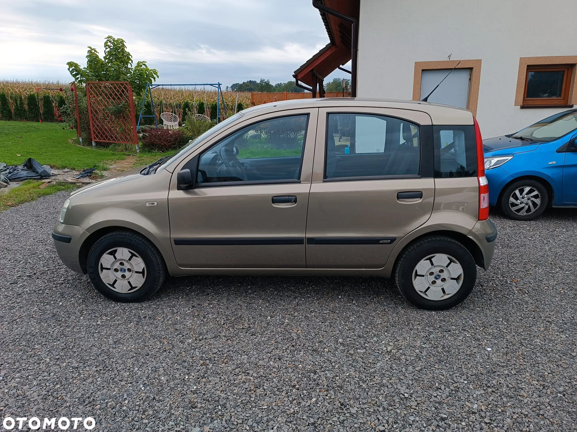 Fiat Panda - 2