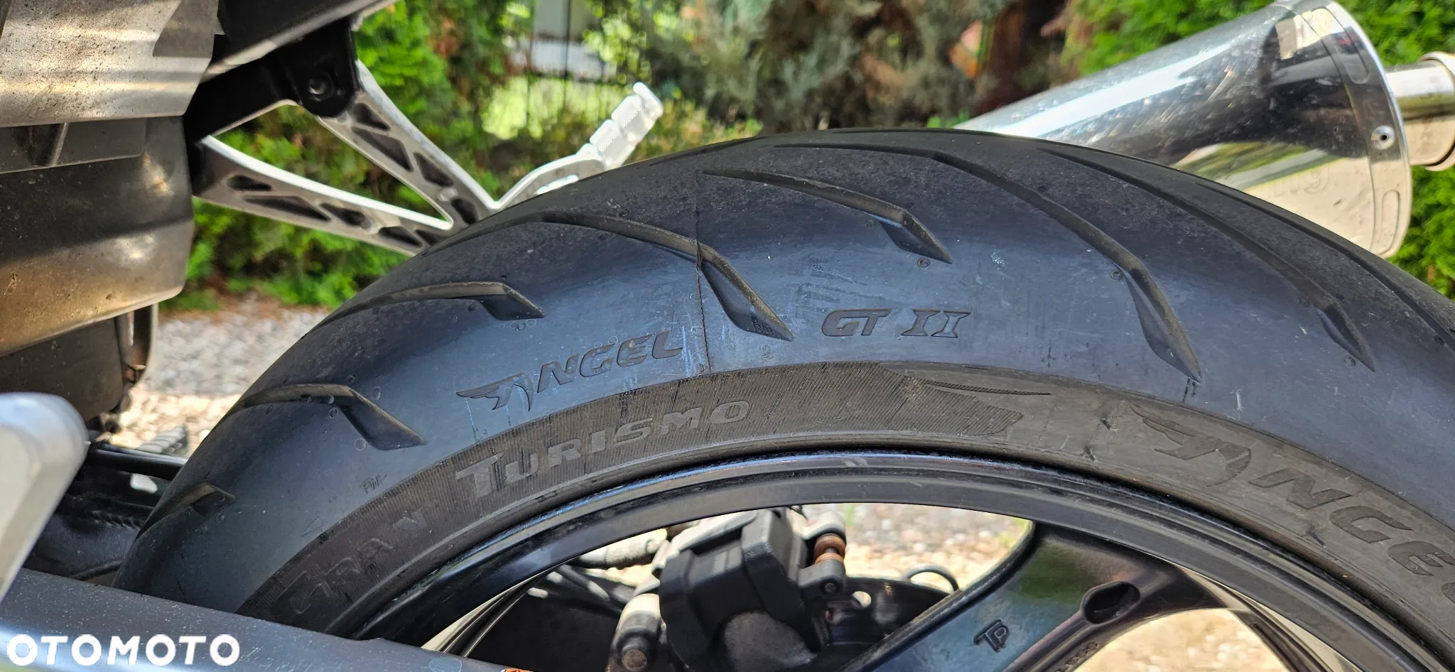 Suzuki Bandit - 7