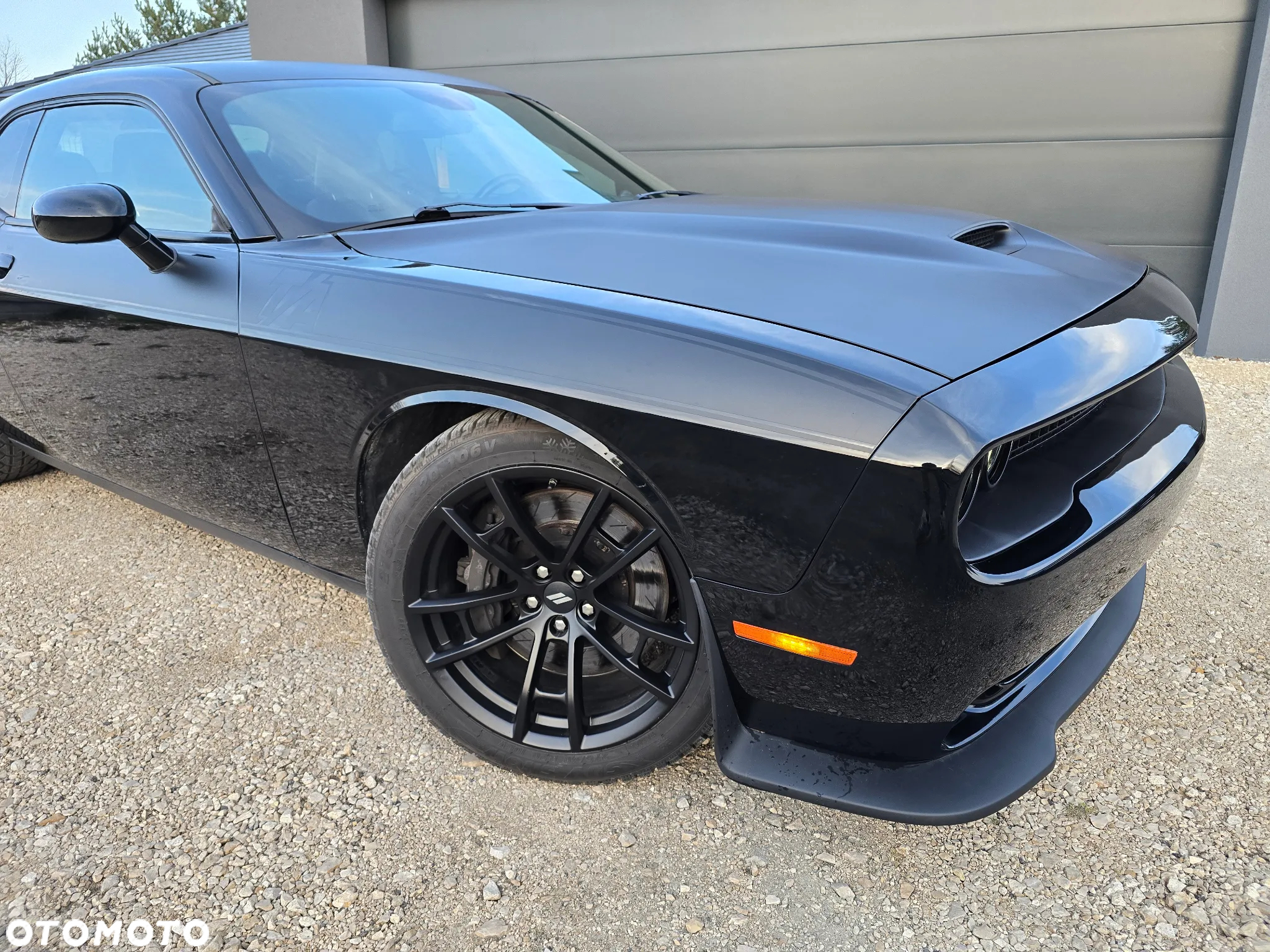 Dodge Challenger 6.4 Scat Pack T/A - 6