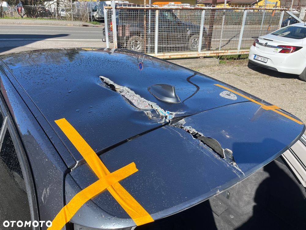 BMW Seria 3 318d Blue Performance - 10