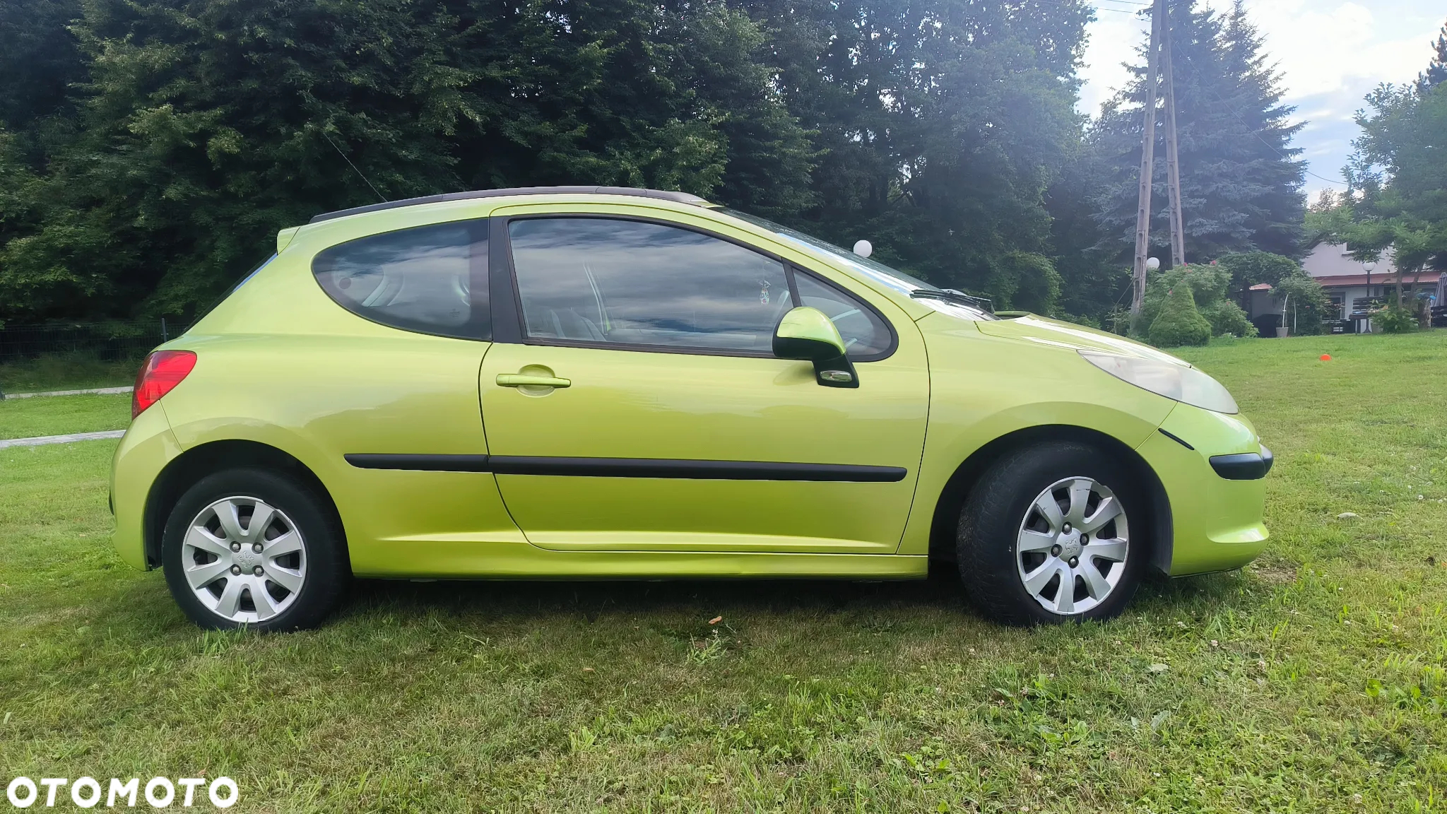 Peugeot 207 - 5