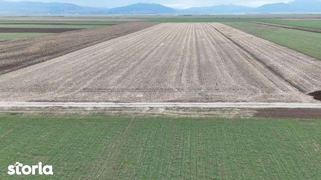 Anunț Vânzare Teren în Prejmer - Zonă Parc Industrial - Imagine principală: 5/9