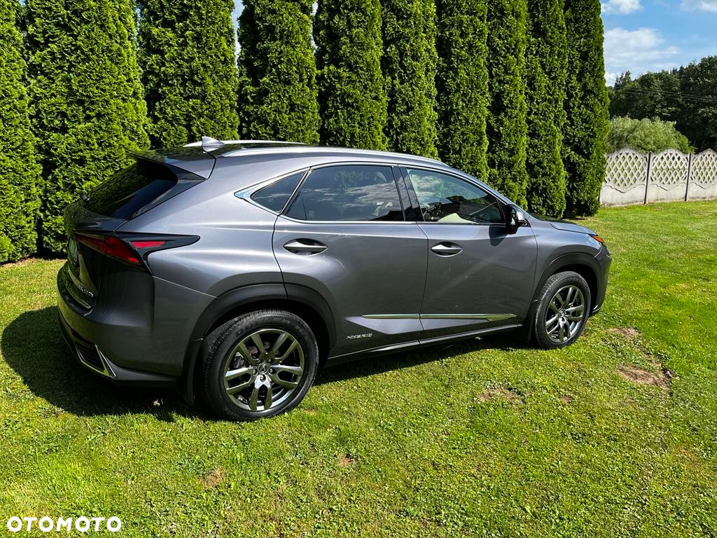 Lexus NX 300 Elegance AWD - 3