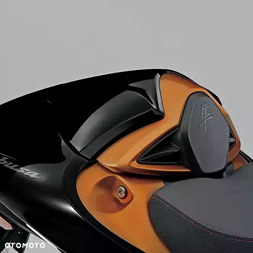 Suzuki Hayabusa - 6