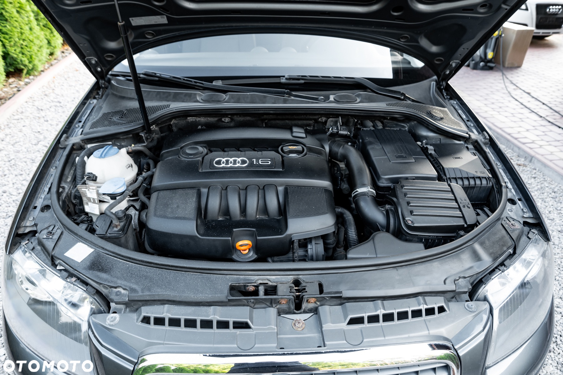 Audi A3 Sportback 1.6 Ambiente - 30