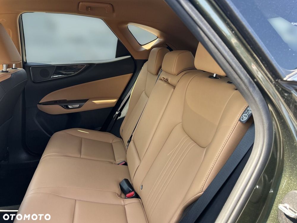 Lexus NX - 15