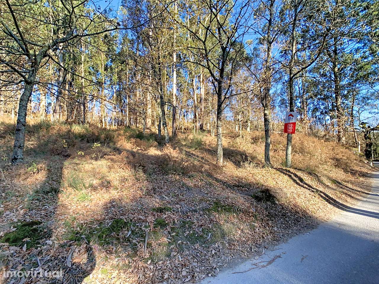 Terreno em Moreira do Rei - Grande imagem: 3/8