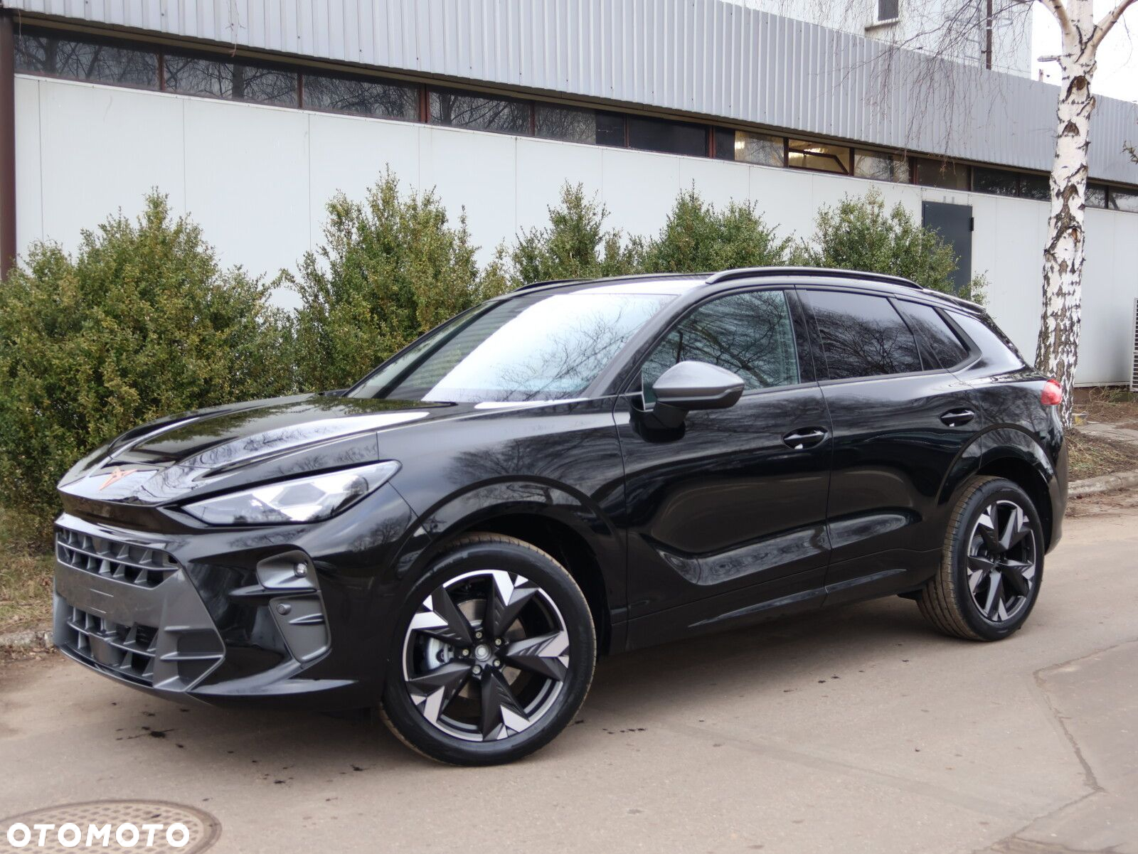 Cupra Terramar 1.5 eTSI mHEV DSG - 2