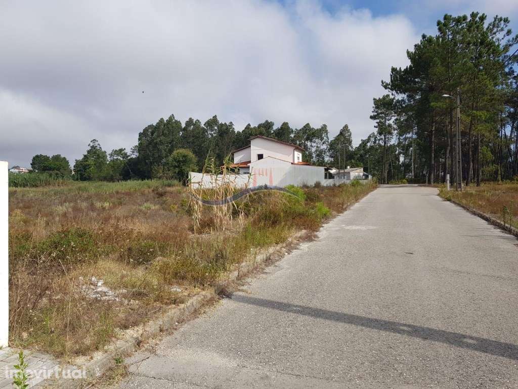 Lote de Terreno - Amor - Grande imagem: 5/13