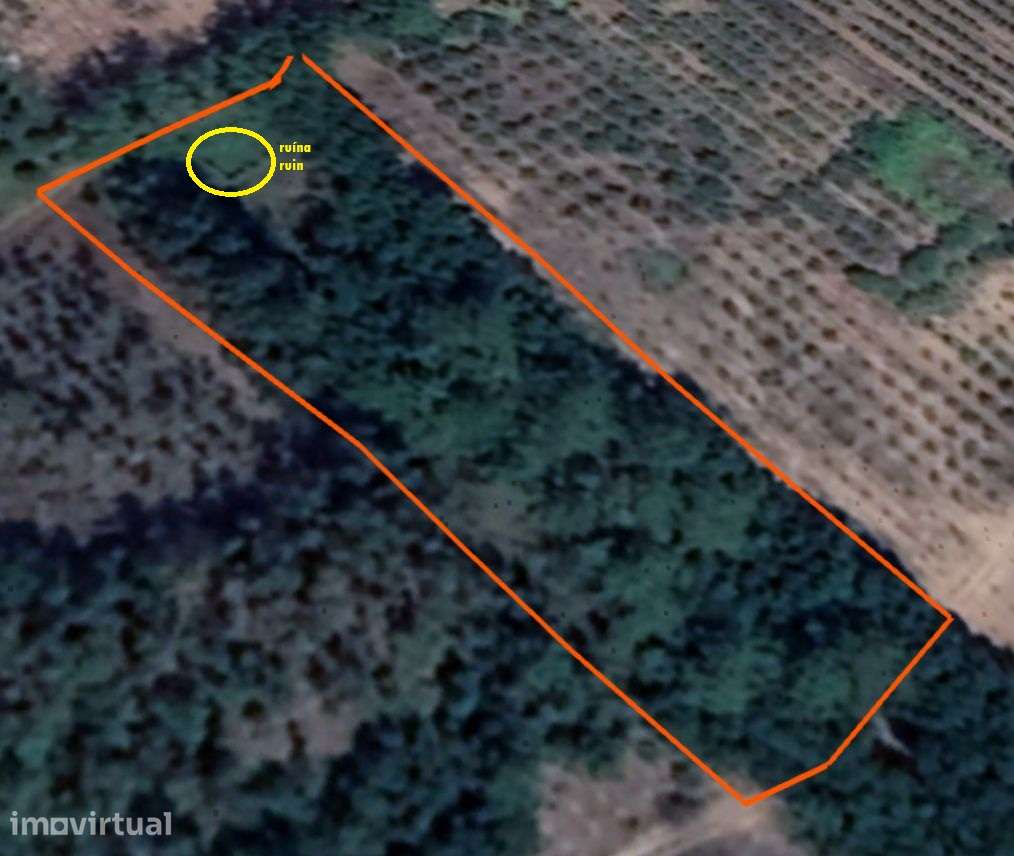 Refúgio rural isolado! Terreno de 3.920 m2 com ruína - a 10 min Óbidos - Grande imagem: 3/10