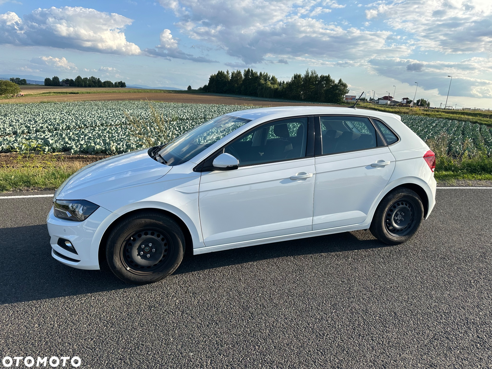 Volkswagen Polo - 2