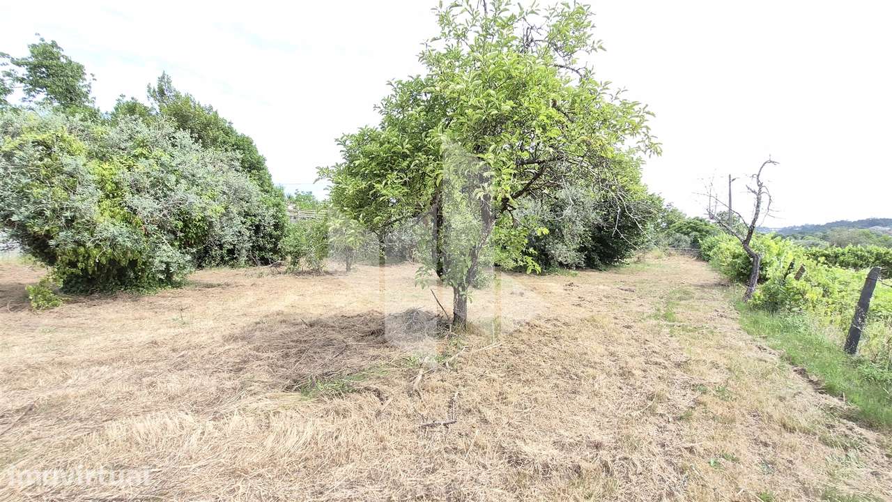 Terreno Para Construção  Venda em Tondela e Nandufe,Tondela - Grande imagem: 4/9