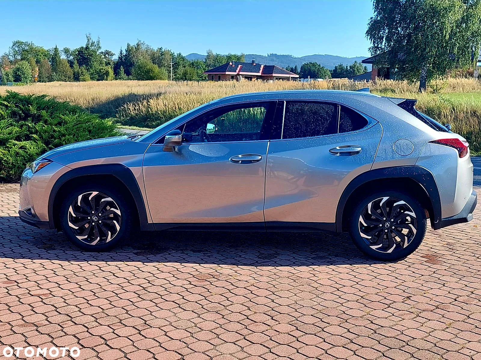 Lexus UX 200 GPF Pure 2WD - 3