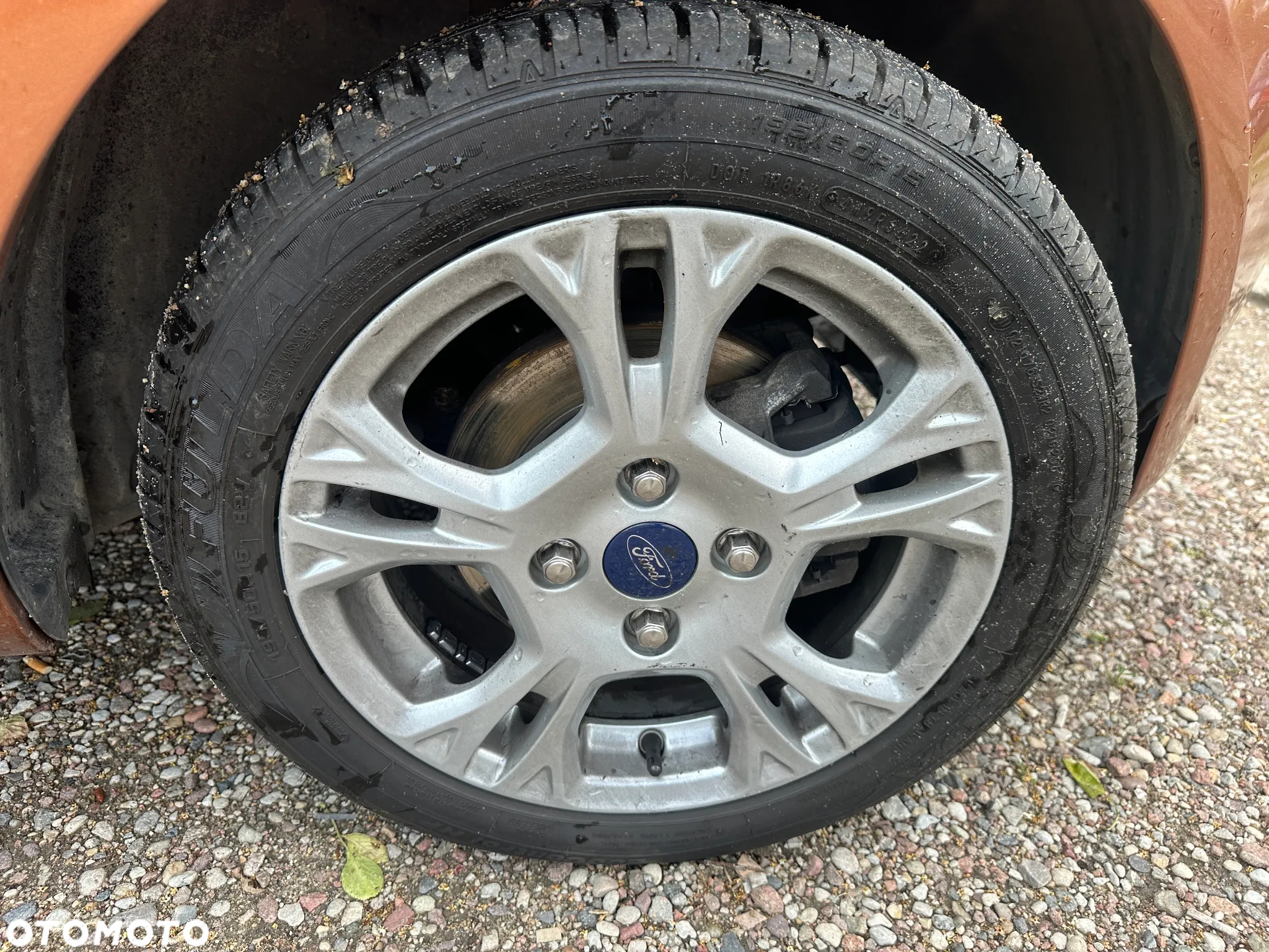 Ford Fiesta - 19