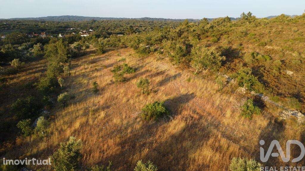 Terreno em Chãos de 8160,00 m2 - Grande imagem: 3/30