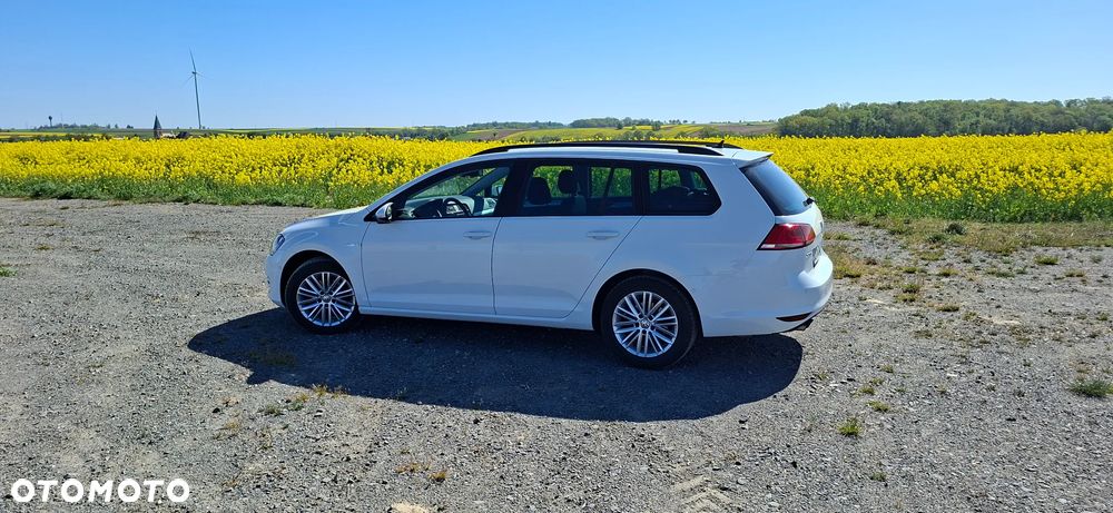 Volkswagen Golf 1.4 TSI BlueMotion Technology Cup - 13