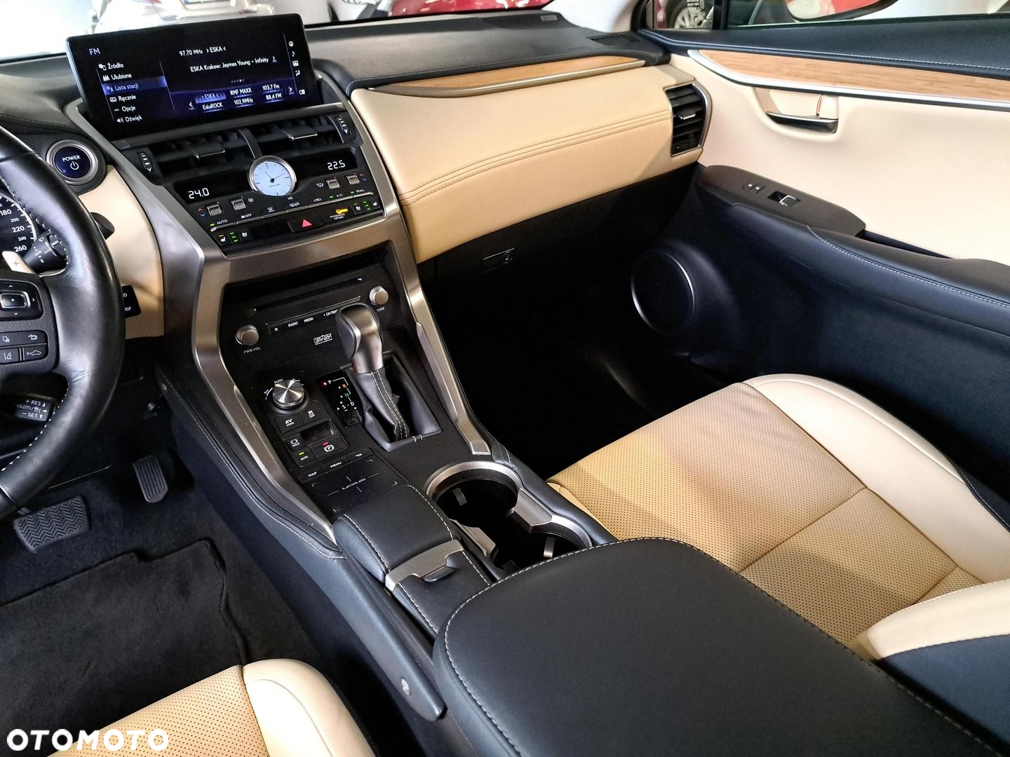 Lexus NX 300h Omotenashi AWD - 29