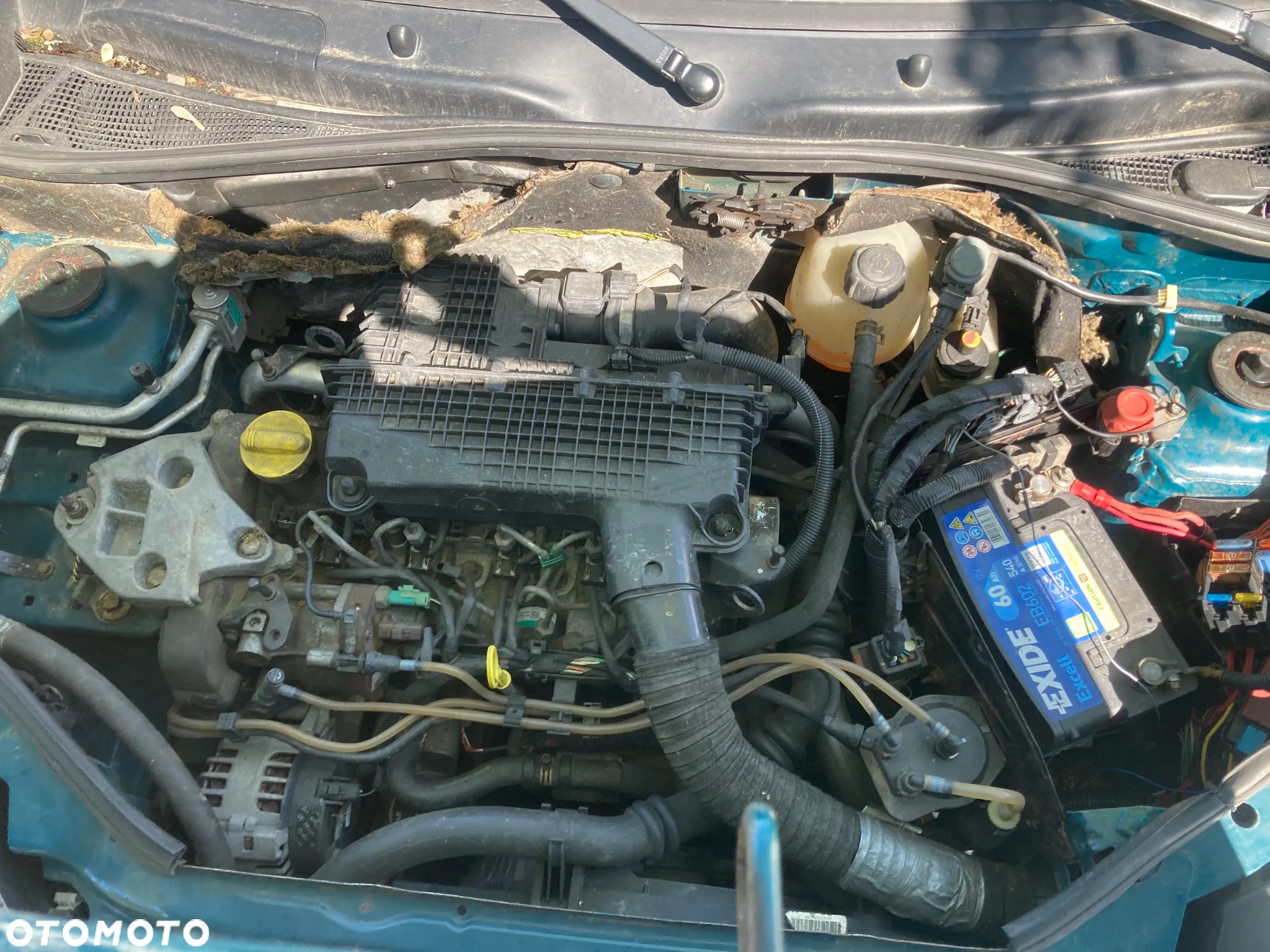 Renault Kangoo - 4