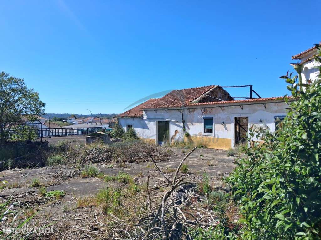 Projeto Imobiliário no Centro de Alcanena | 3.640 m² com Elevado Po... - Grande imagem: 3/22