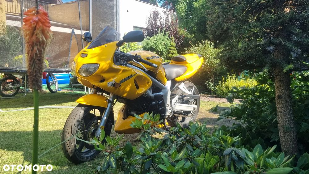 Suzuki SV - 4