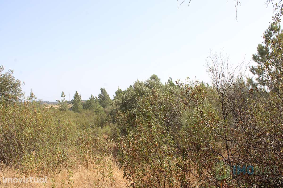 Terreno - Grande imagem: 3/26