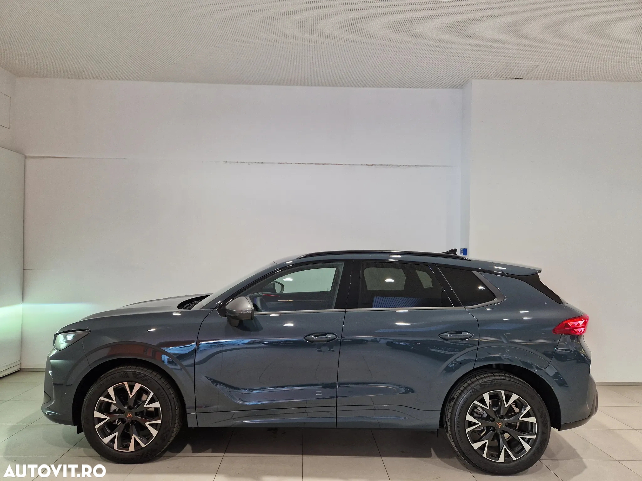 Cupra Terramar - 2