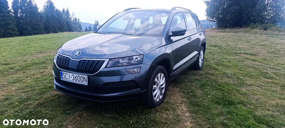 Skoda Karoq - 7