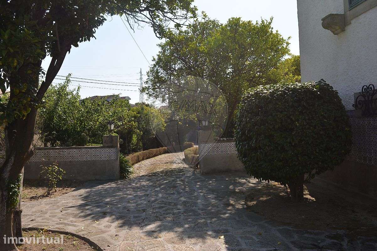 Quinta T5 para venda - Grande imagem: 4/37